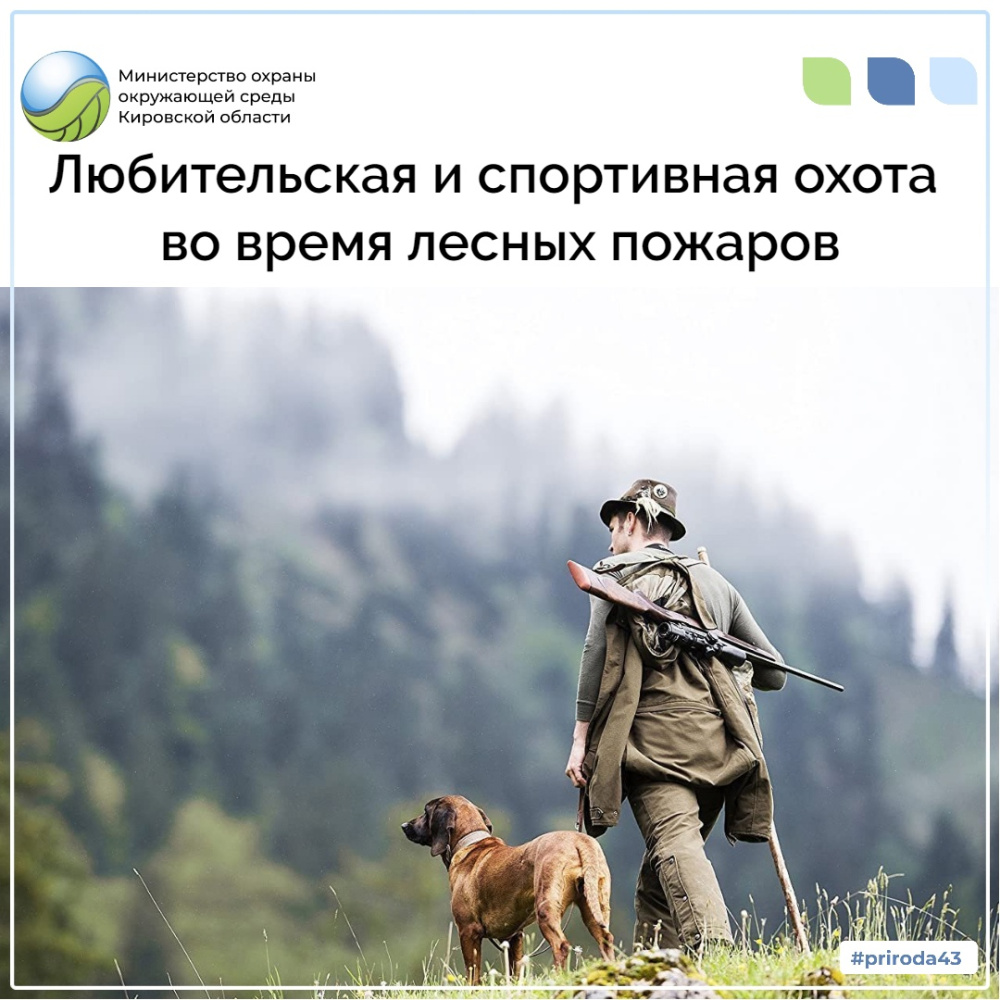 Любительская и спортивная охота во время лесных пожаров