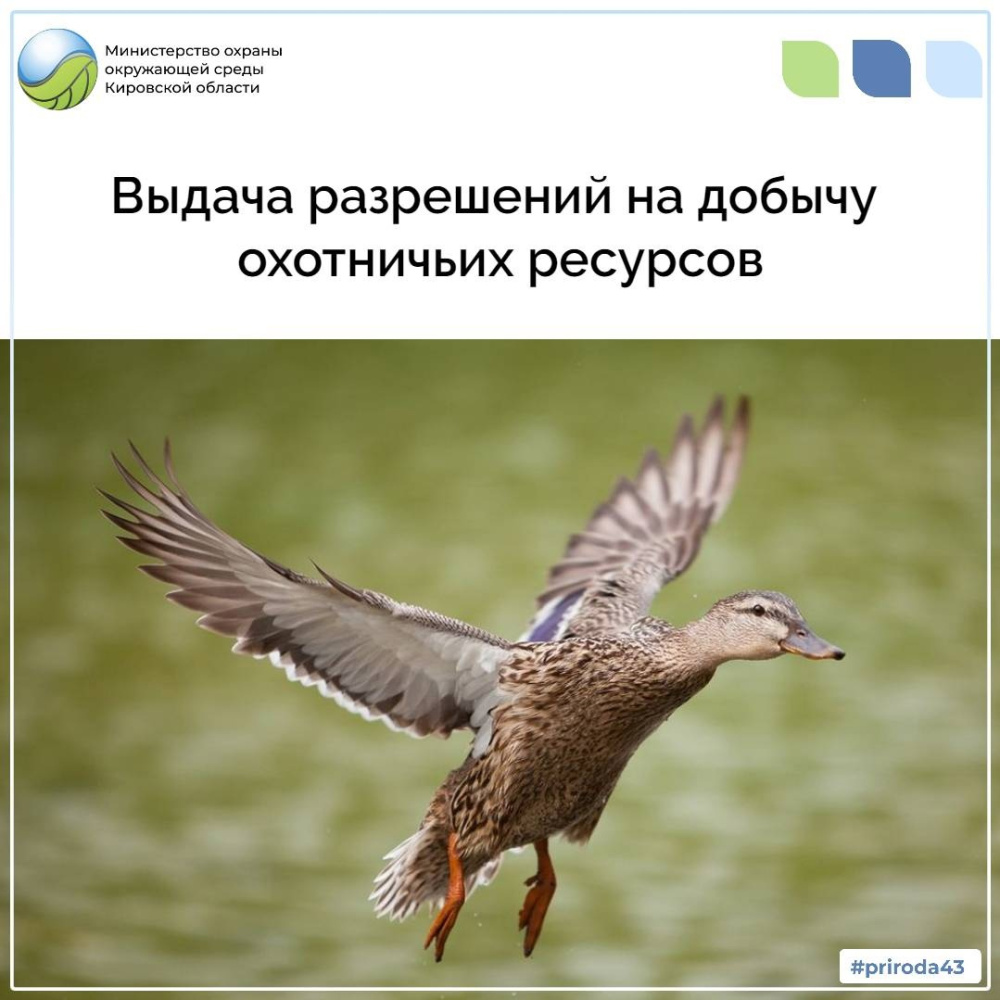 Выдача разрешений на добычу охотничьих ресурсов