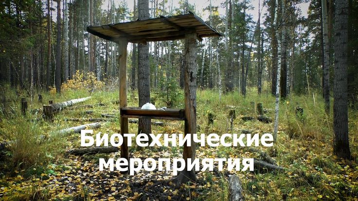 Начинается прием заявлений на биотехнию