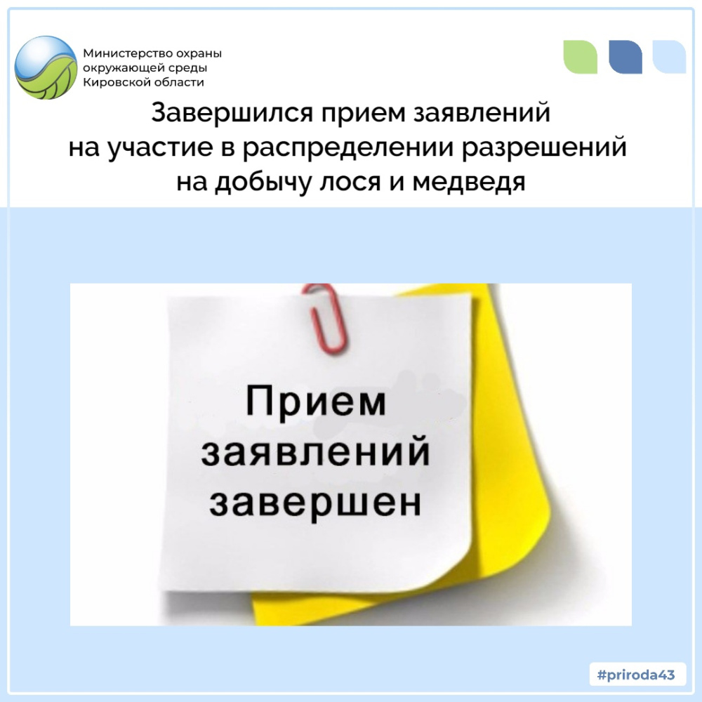 Завершился прием заявлений на участие в распределение разрешений на добычу лося и медведя