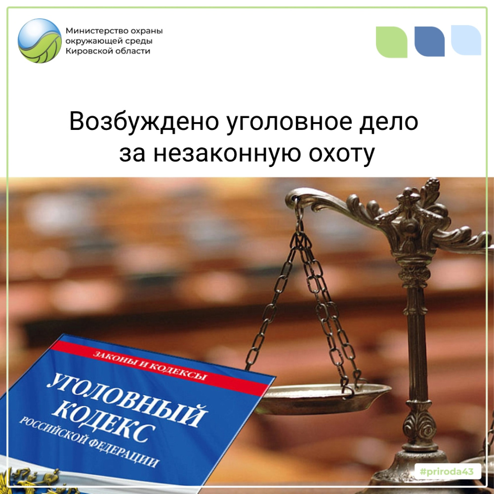 Возбуждено уголовное дело за незаконную охоту