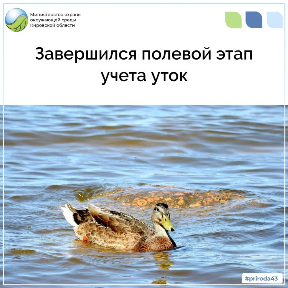 Завершился полевой этап учета уток