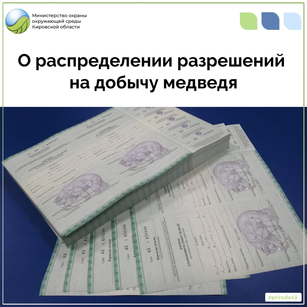 О распределении разрешений на добычу медведя