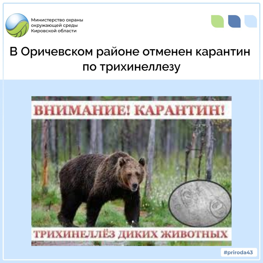 В Оричевском районе отменен карантин по трихинеллезу 