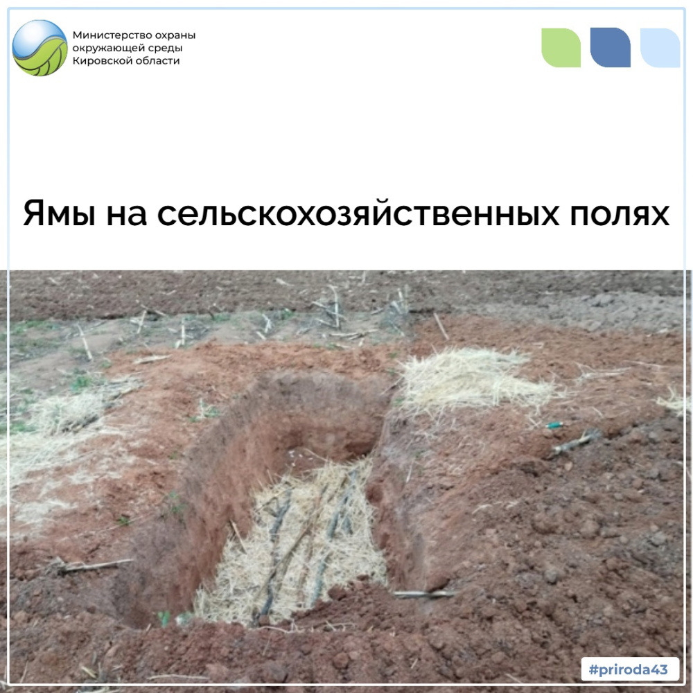 Ямы на сельскохозяйственных полях