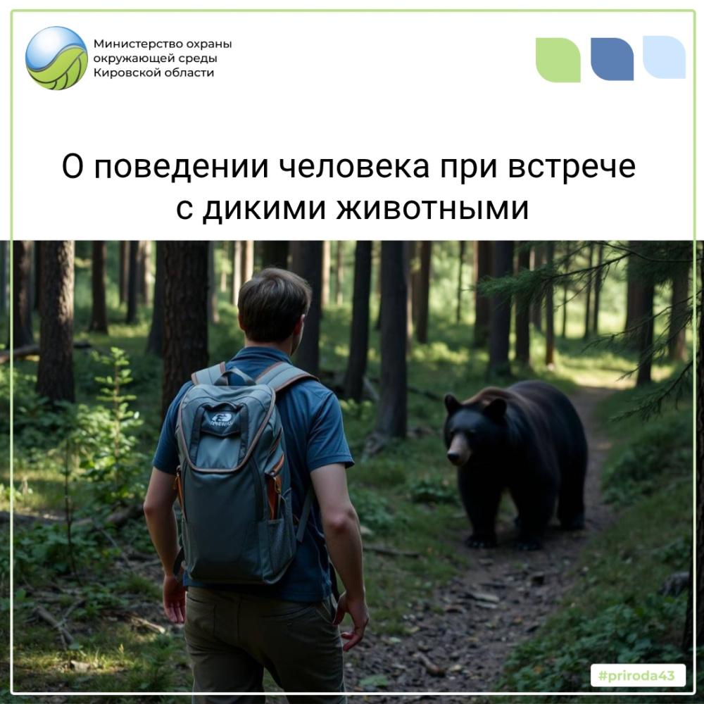 О поведении человека при встрече с диким животным
