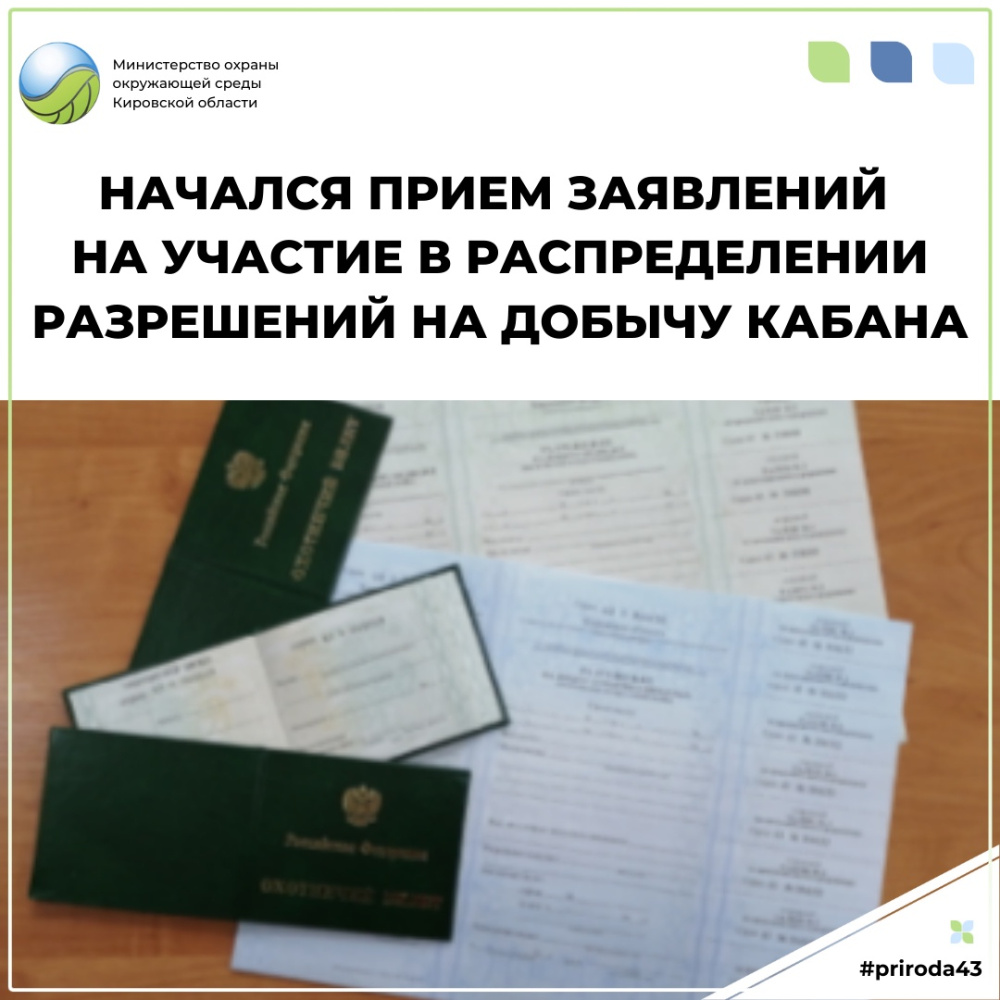 О распределении разрешений на добычу кабана в общедоступных охотничьих угодьях
