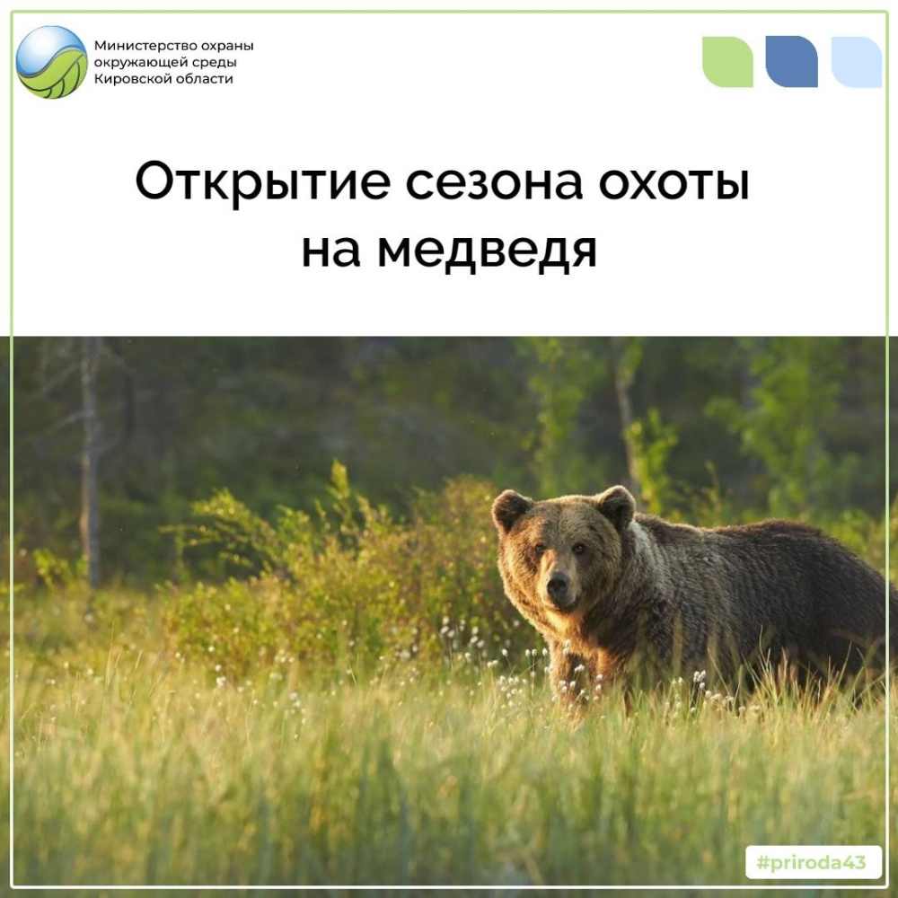 Открытие сезона охоты на медведя