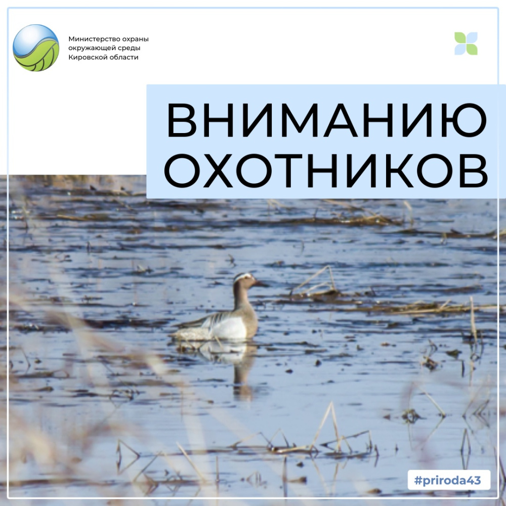 Вниманию охотников!