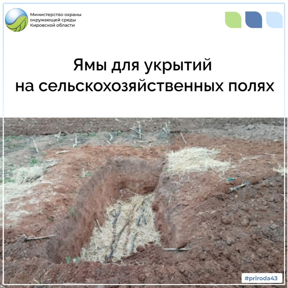Ямы на сельскохозяйственных полях