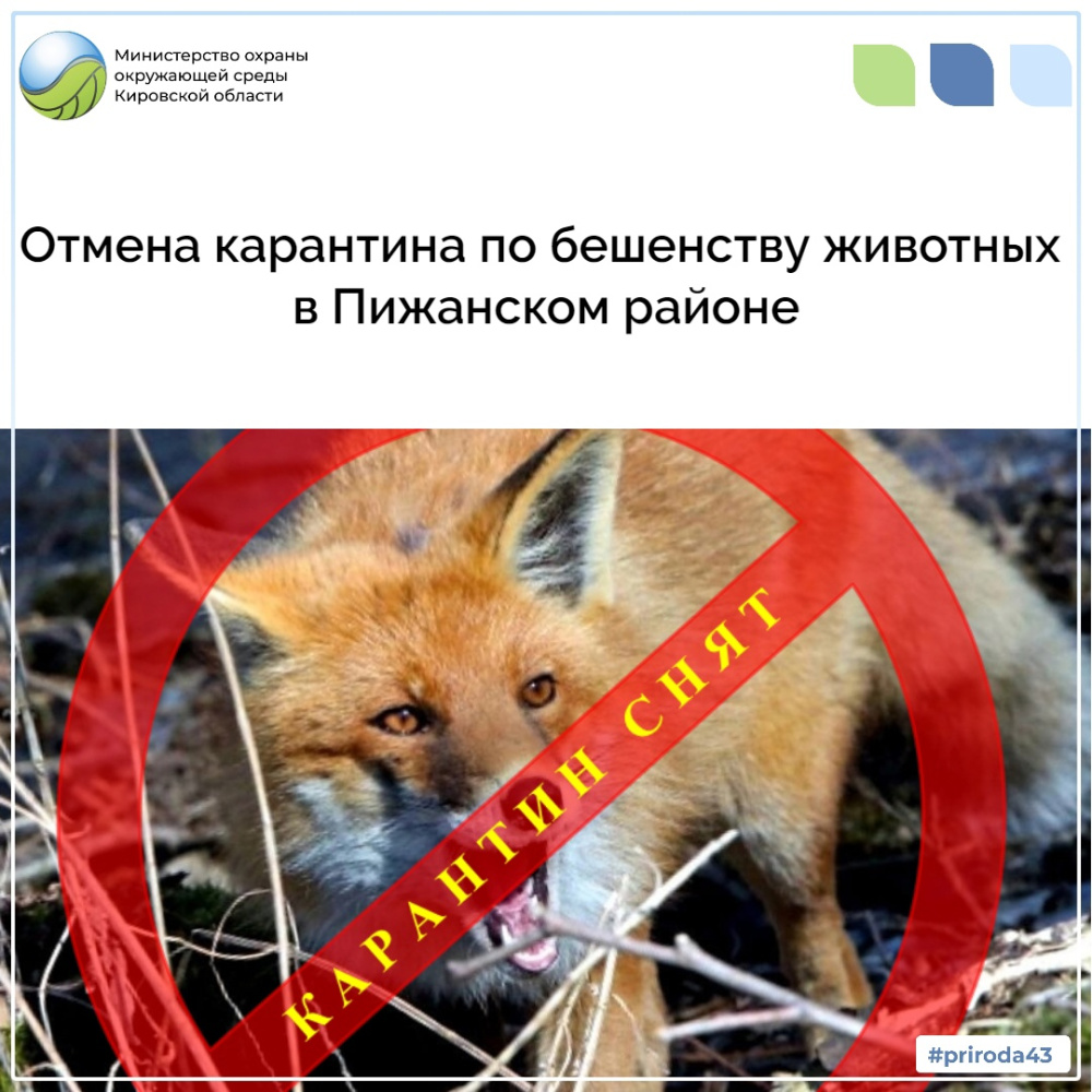 Отмена карантина по бешенству животных в Пижанском районе