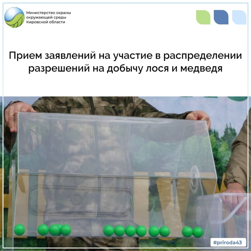 Продолжается прием заявлений на участие в распределении разрешений на добычу лося и медведя