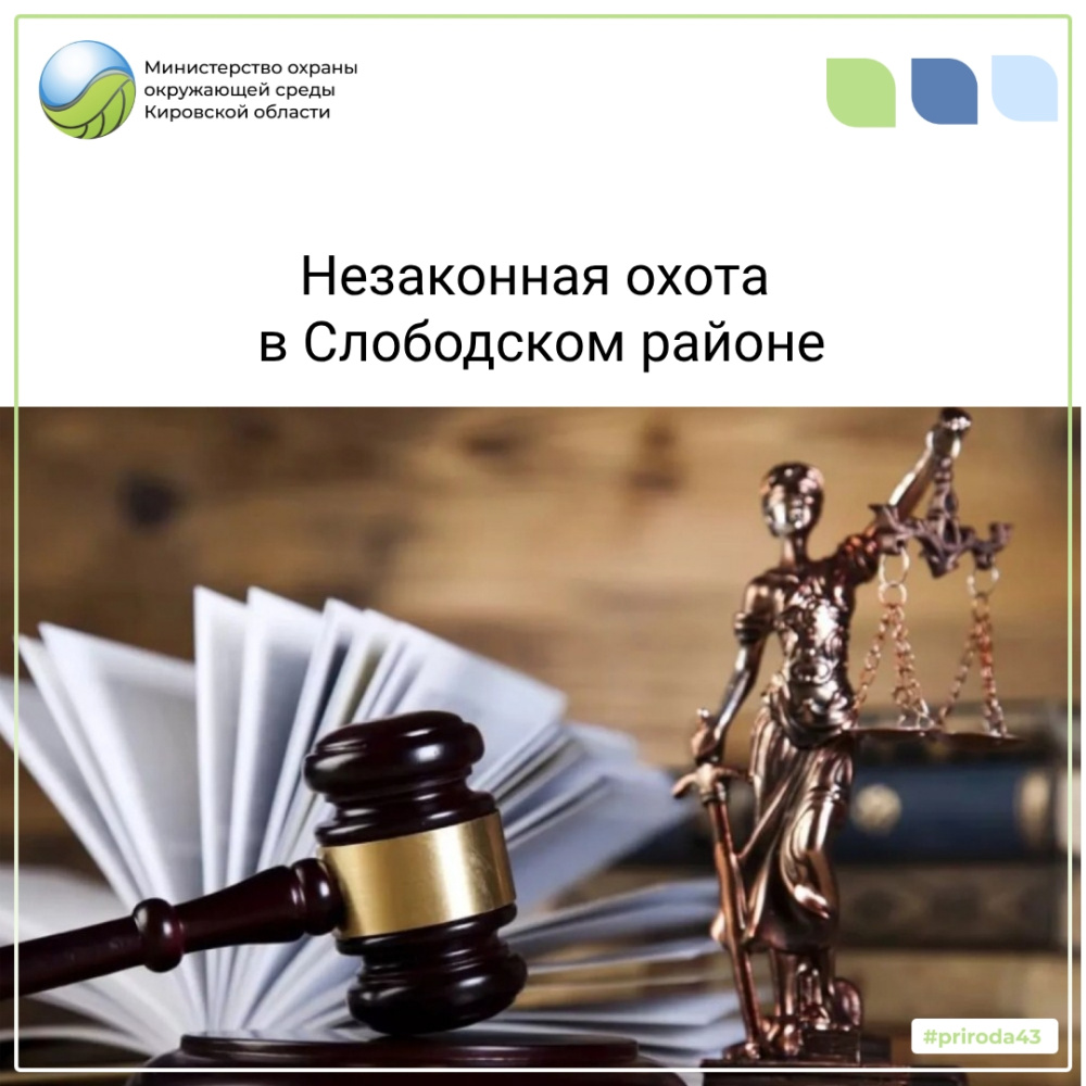 Незаконная охота в Слободском районе