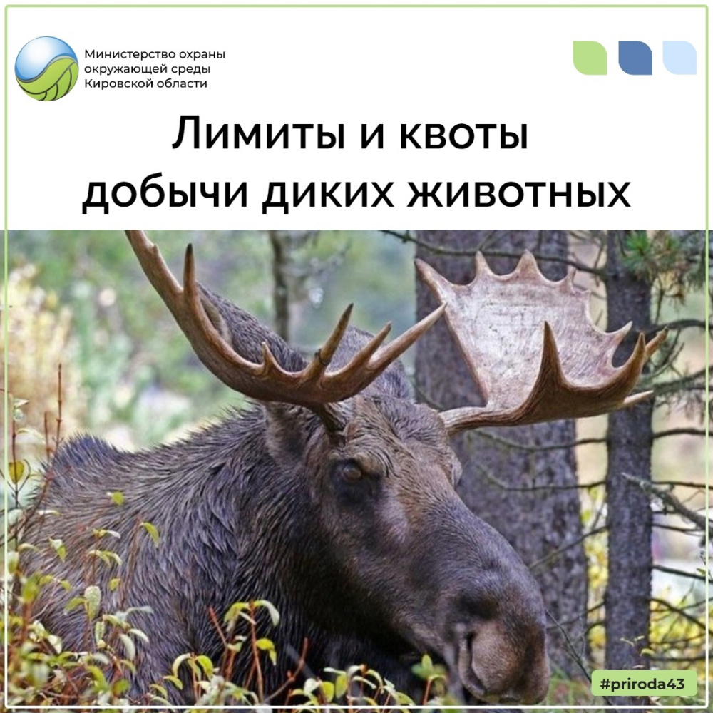 Экологическая экспертиза лимитов и квот добычи охотничьих ресурсов 