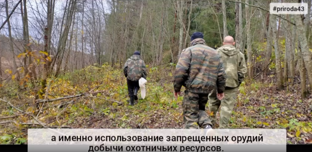 Сотрудники министерства продолжают осуществлять охрану охотничьих животных