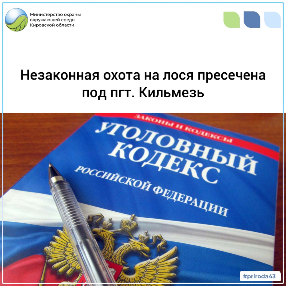 Незаконная охота на лося пресечена под пгт. Кильмезь