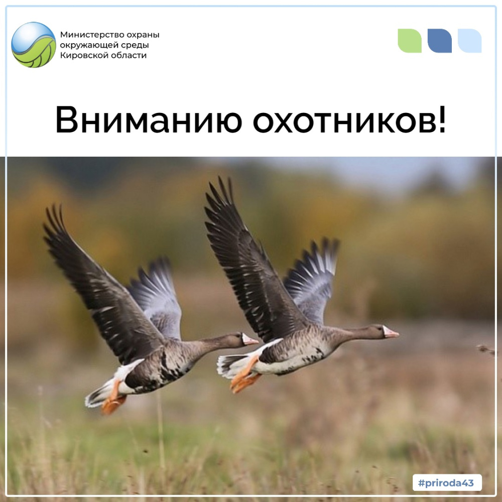 Вниманию охотников!