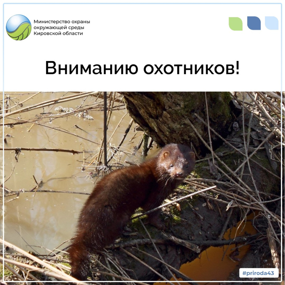 Вниманию охотников!