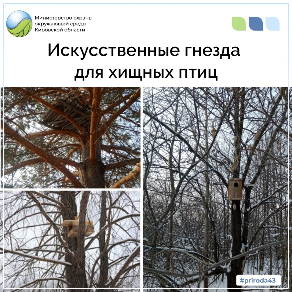 Искусственные гнезда для хищных птиц