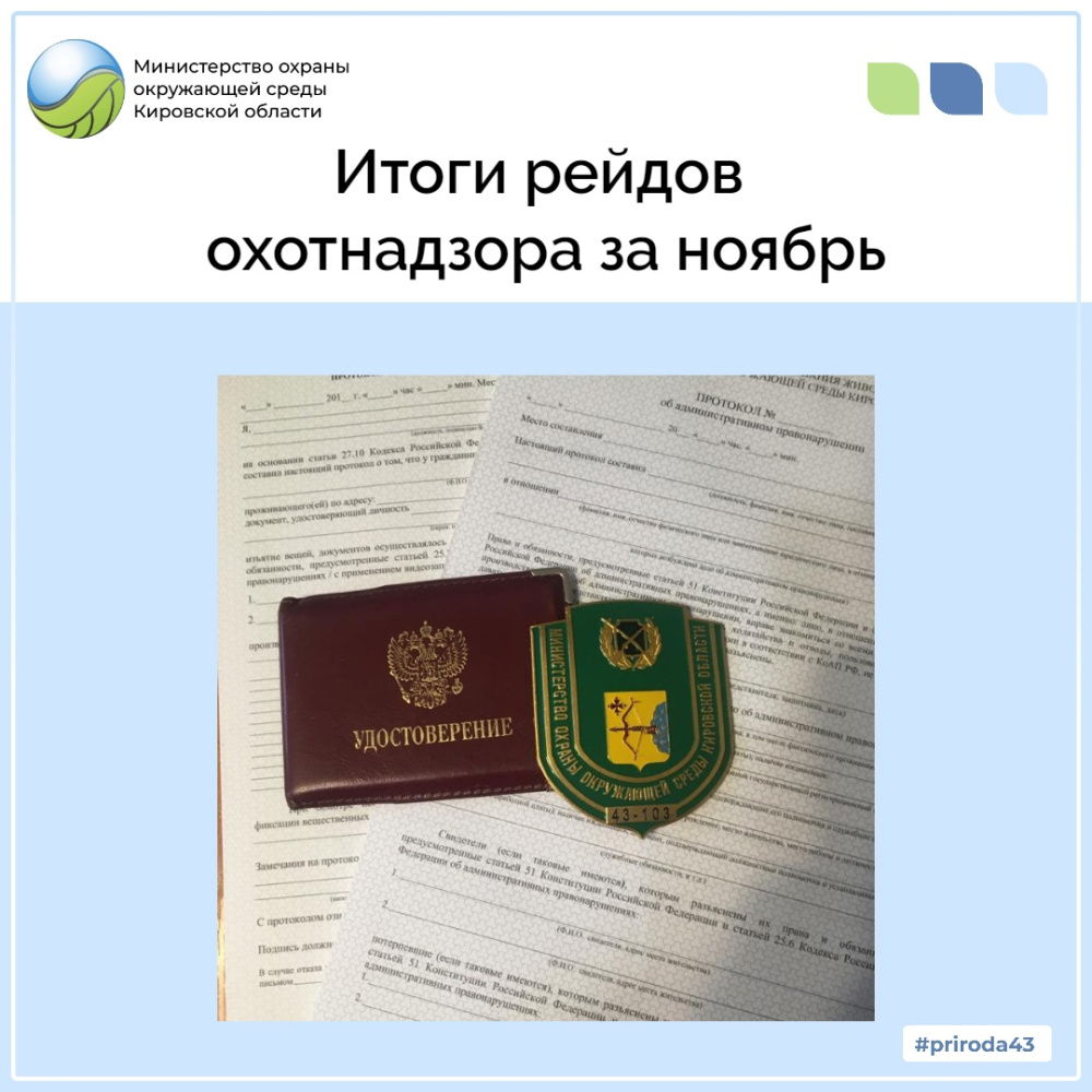 Итоги рейдов охотнадзора за ноябрь