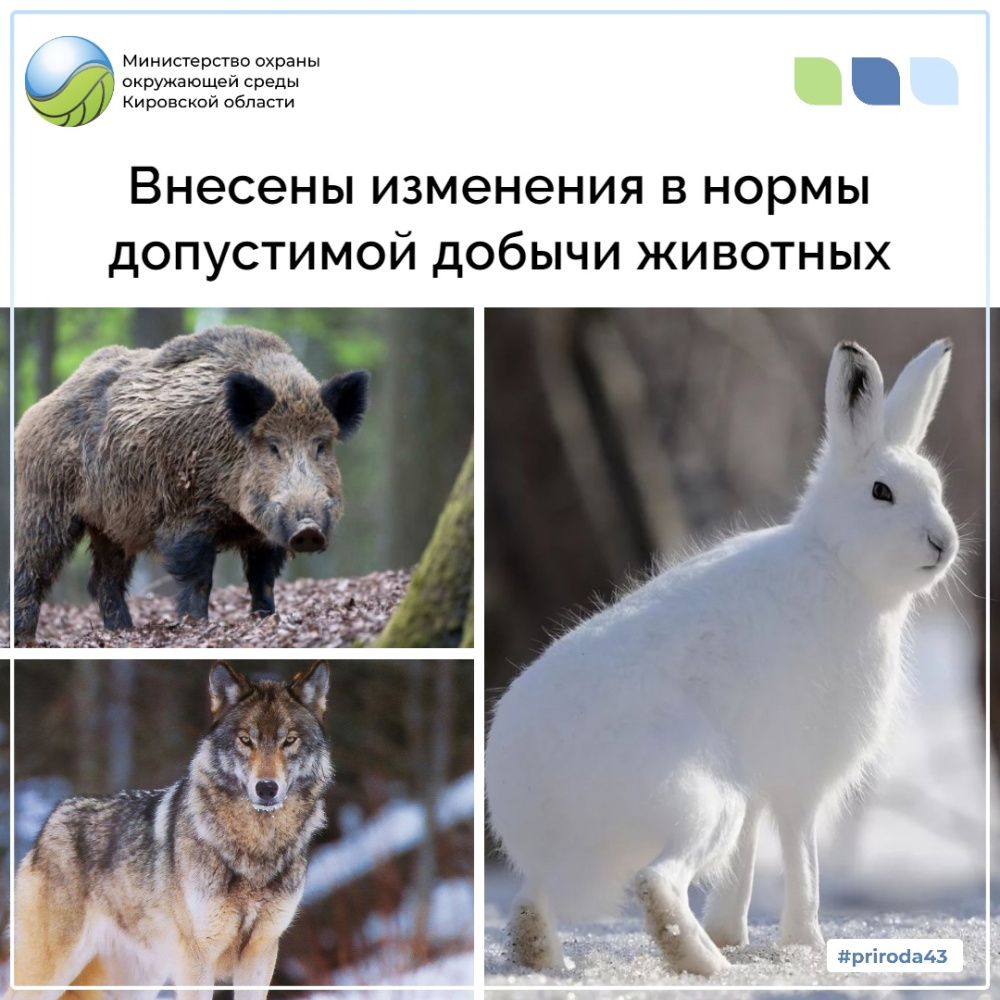 Внесение изменений в нормы допустимой добычи животных