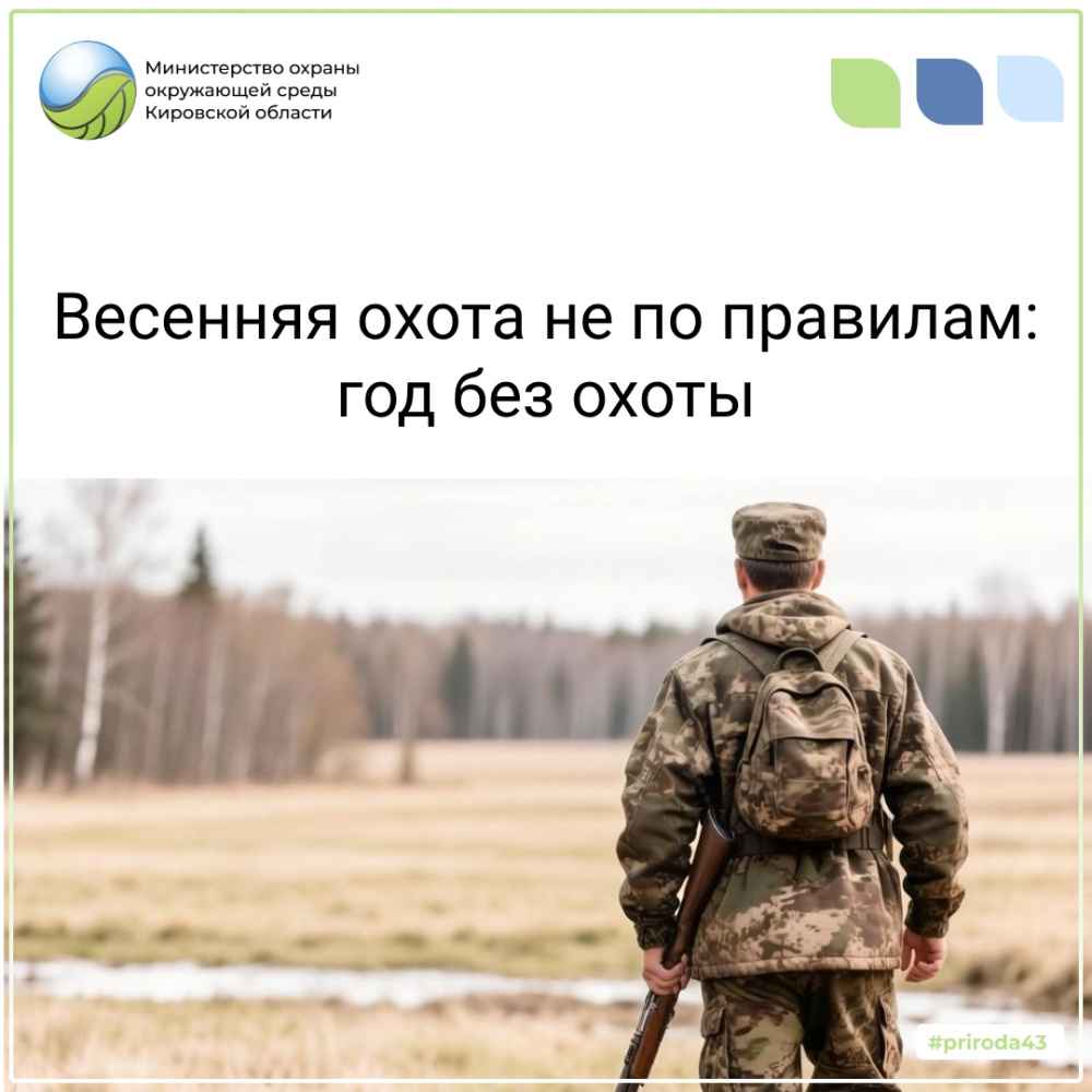 Охота «с подхода» весной обернулась для двух жителей Кирово-Чепецка лишением права охоты