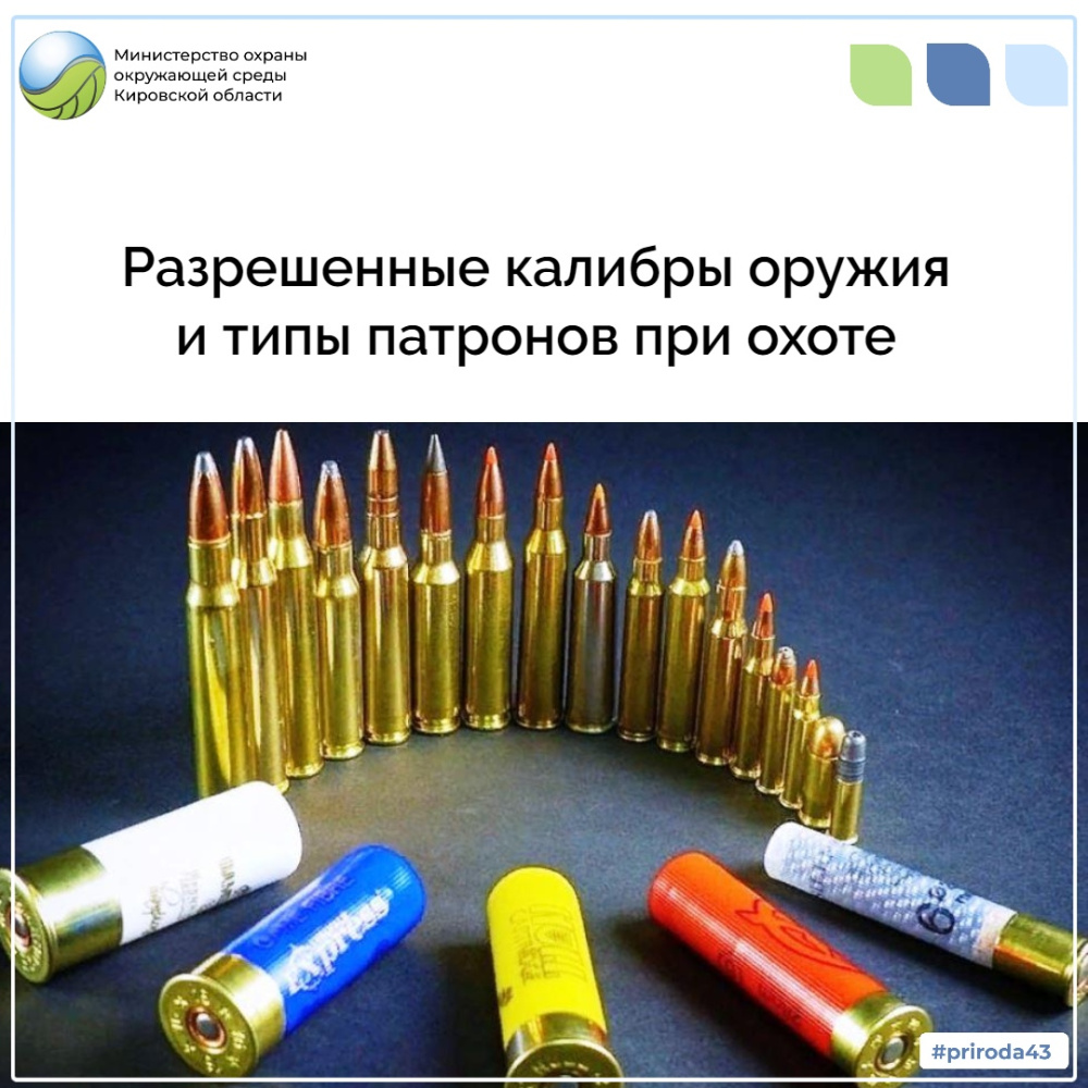 Разрешенные калибры оружия и типы патронов при охоте