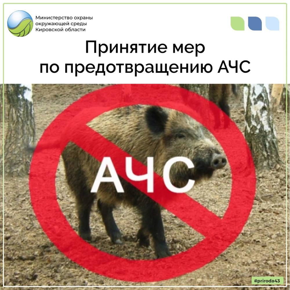 Принятие мер по предтвращению АЧС