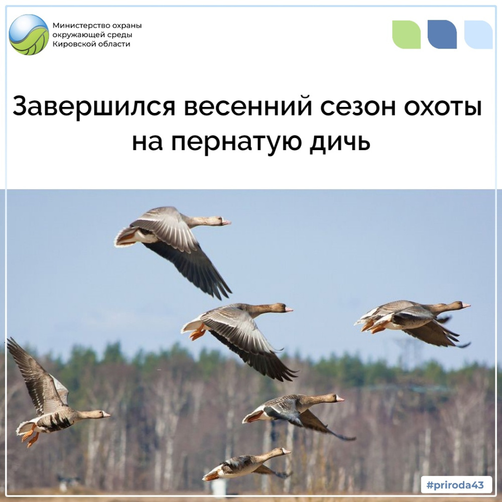 Завершился весенний сезон охоты на пернатую дичь