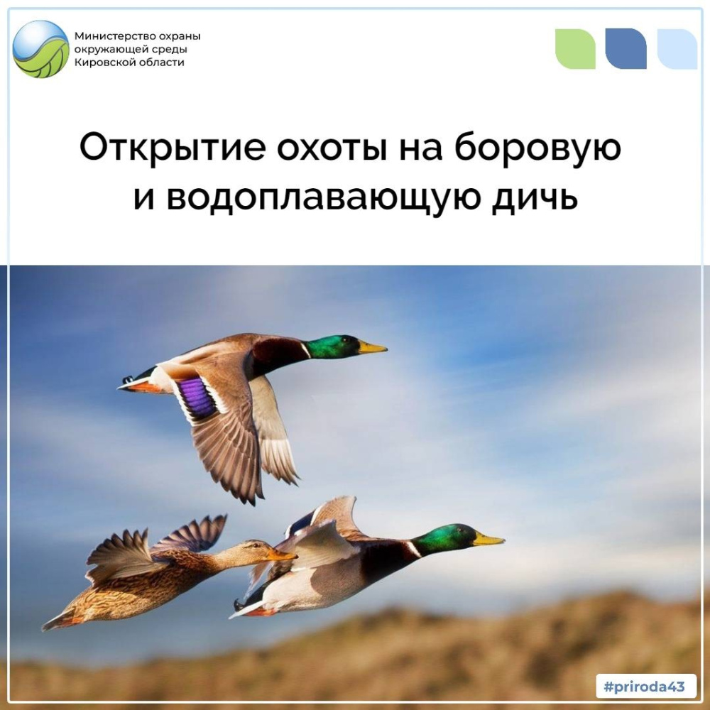 Открытие охоты на боровую и водоплавающую дичь