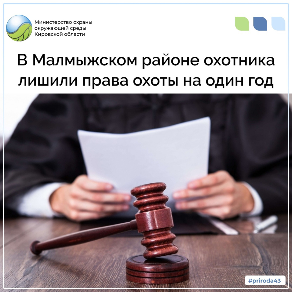 В Малмыжском районе охотника лишили права охоты на один год