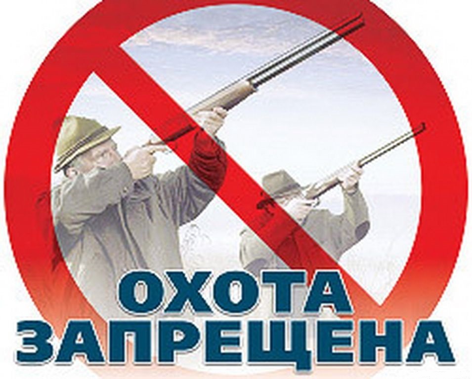 В Кировской области созданы три участка общедоступных охотничьих угодий с запретом охоты