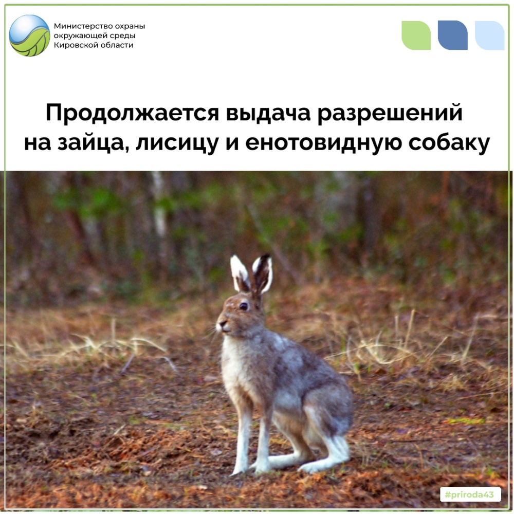 Продолжается выдача разрешений на охоту!