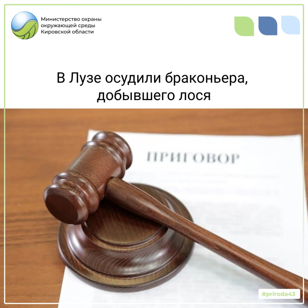 В Лузе осудили браконьера, добывшего лося