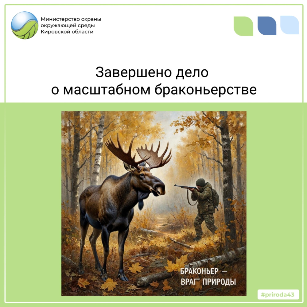 Завершено дело о масштабном браконьерстве