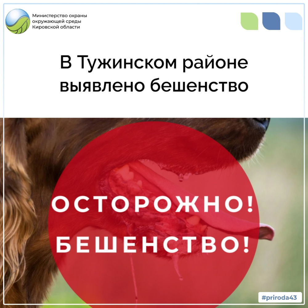 В Тужинском районе выявлено бешенство