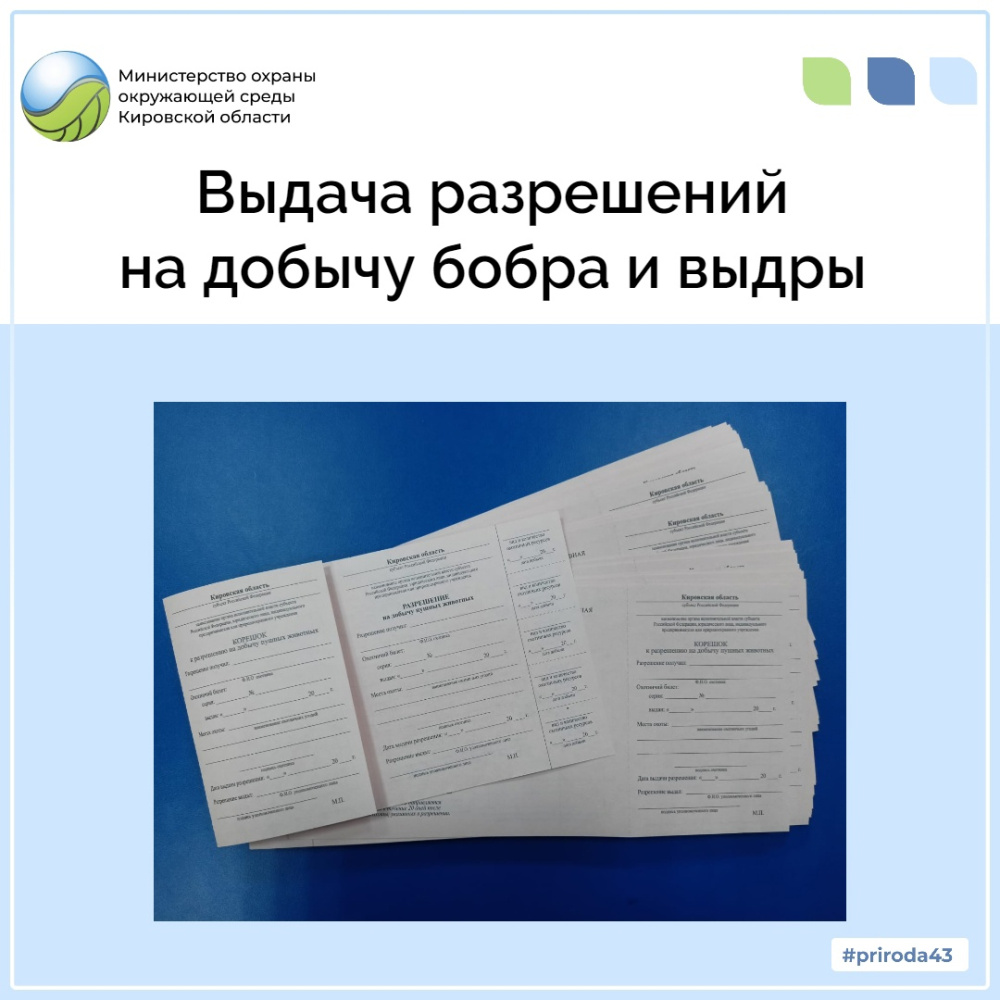 Выдача разрешений на добычу бобра и выдры