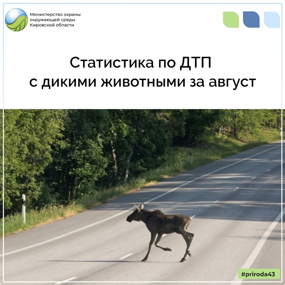 Статистика по ДТП с дикими животными за август