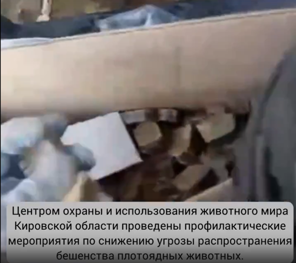 Выложена вакцина от бешенства для диких животных