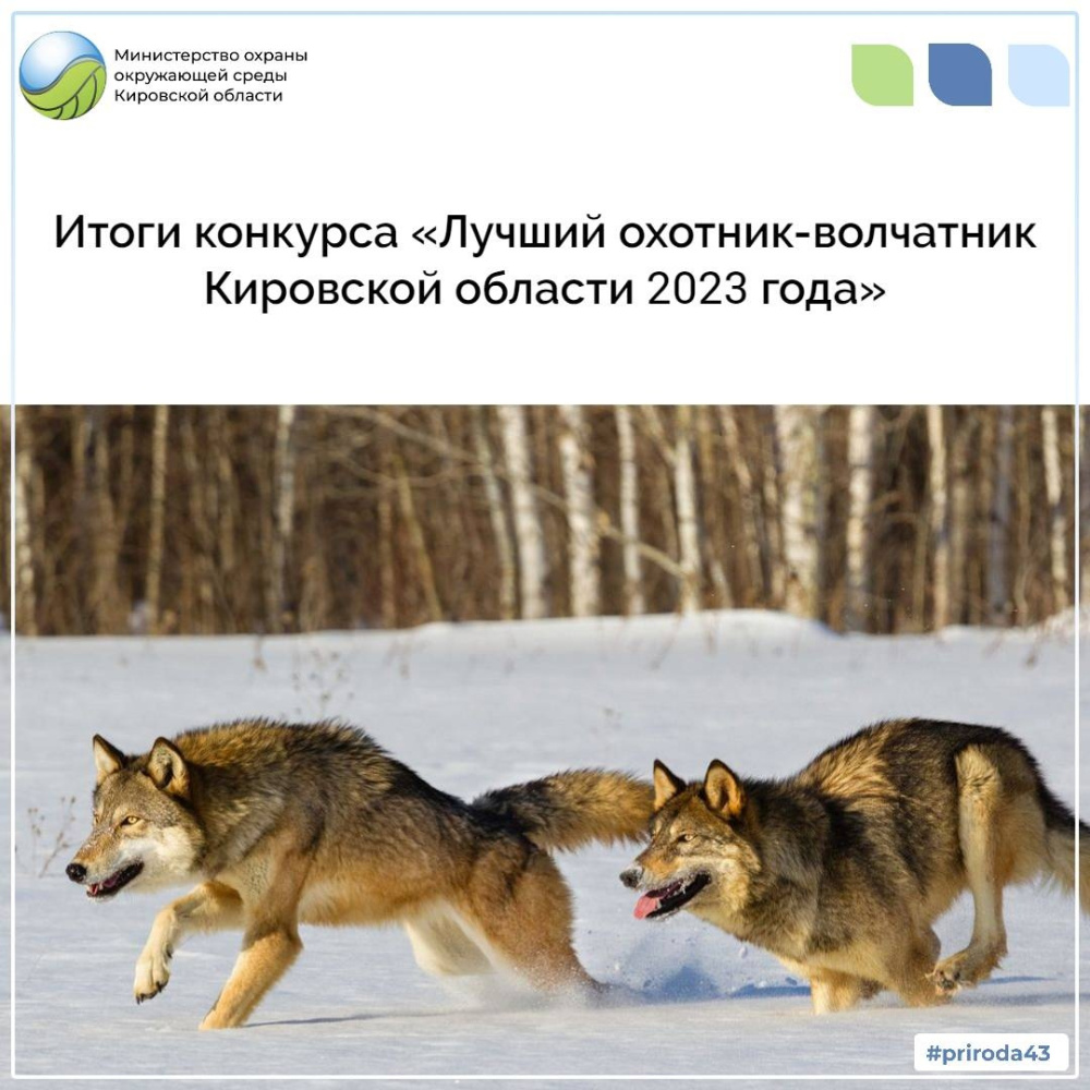Подведены итоги областного конкурса на звание «Лучший охотник-волчатник Кировской области 2023 года»