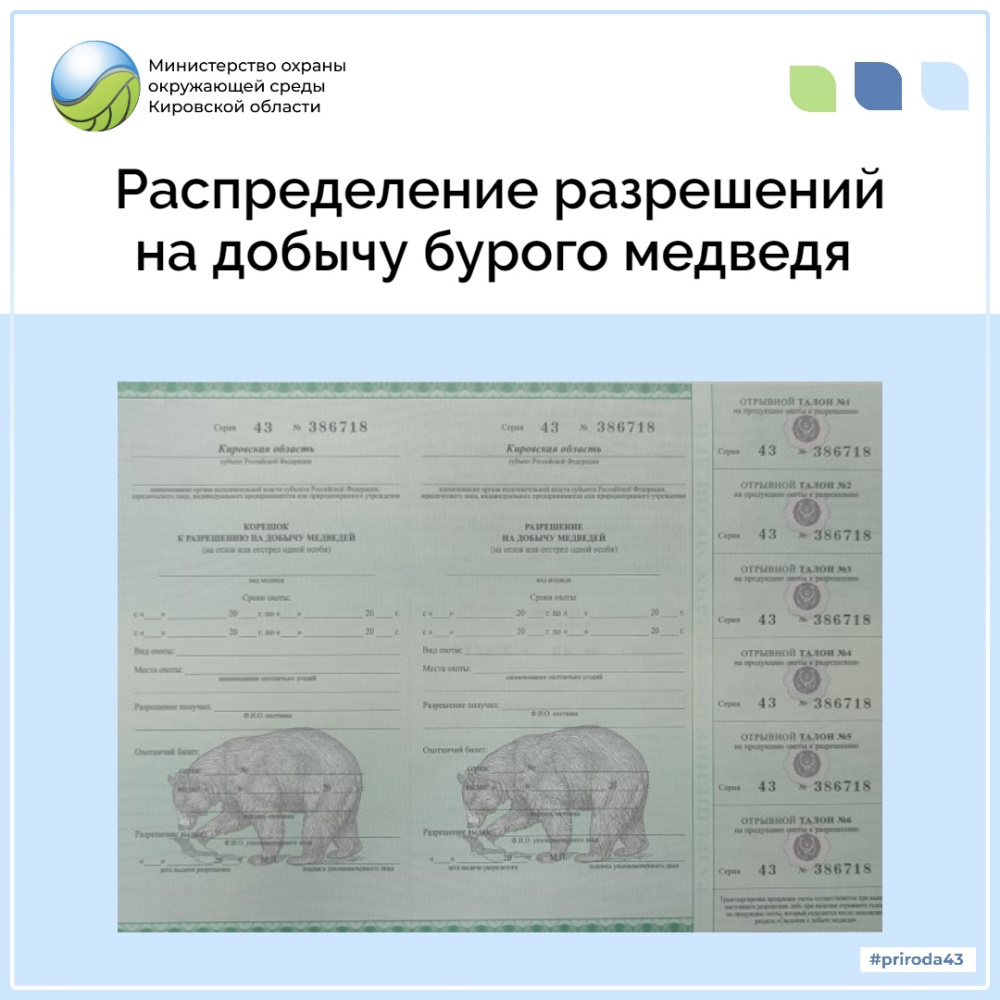Лицензии на пользование животным миром. Разрешение на добычу медведя. Лицензия на медведя. Распределение разрешений на добычу медведя. Лицензия на добычу лося.