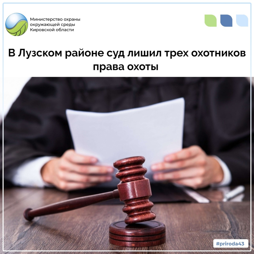 В Лузском районе суд лишил трех охотников права охоты
