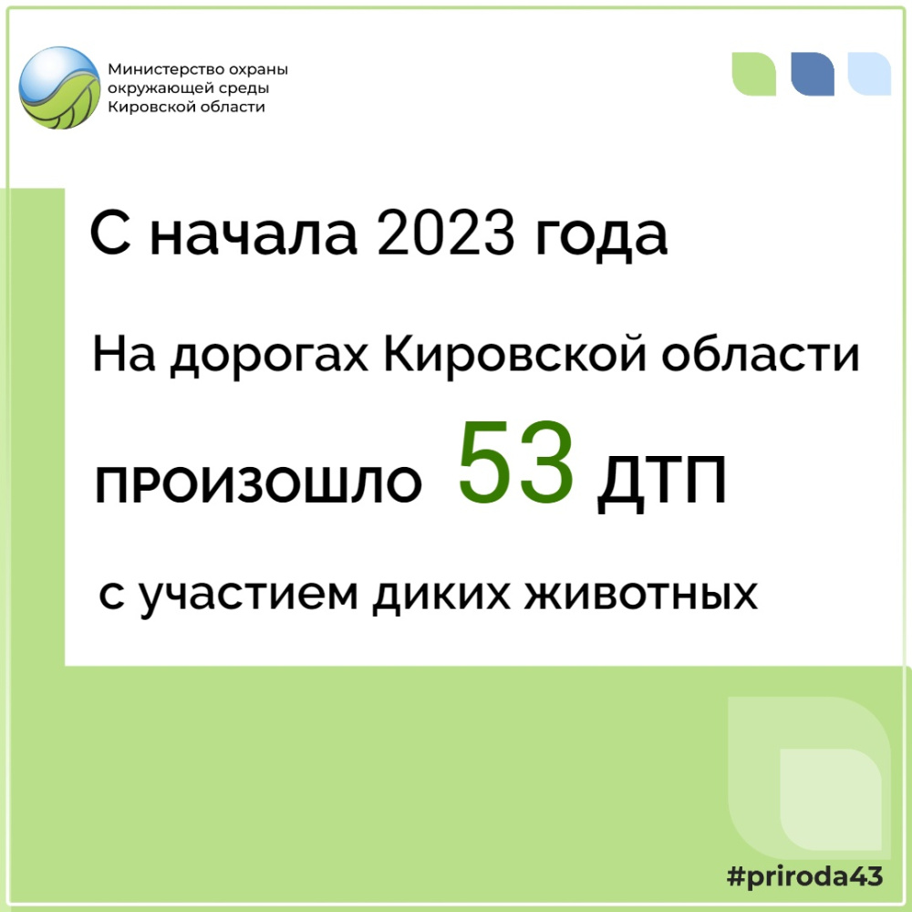 В августе на дорогах области произошло 11 дорожно-транспортных происшествий с участием диких животных