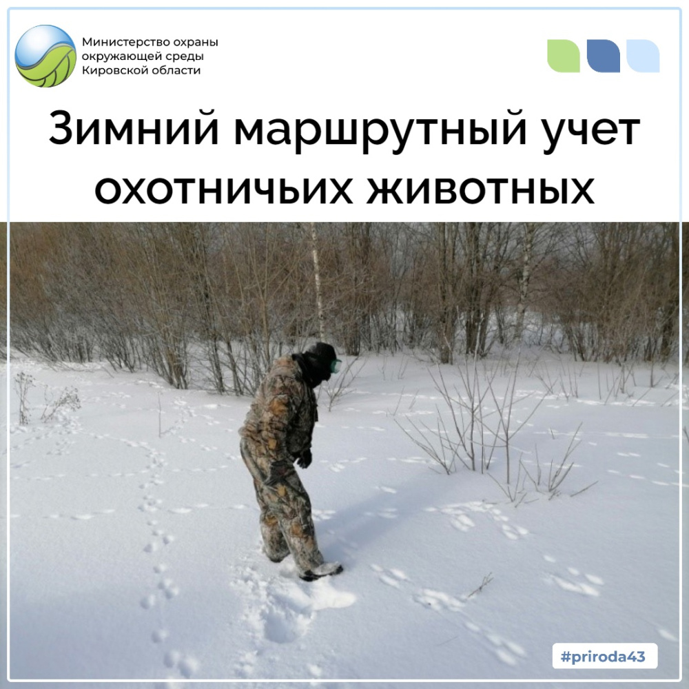 Учеты охотничьих животных. Охотник зимой. зимний учет животных. охотничьи угодья.