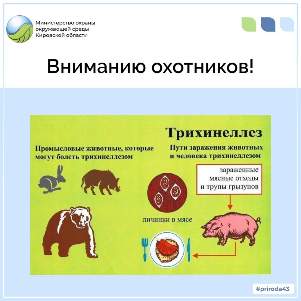 Вниманию охотников!