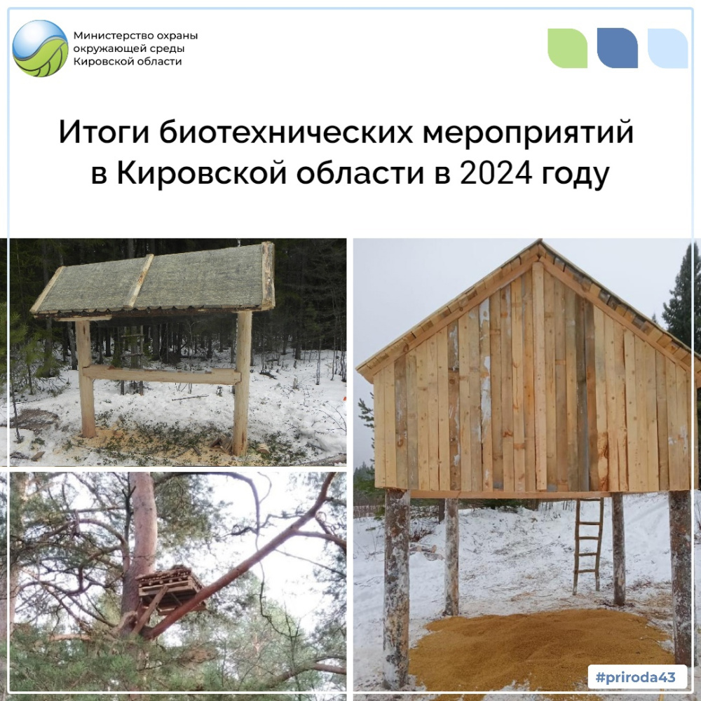 Итоги биотехнических мероприятий в Кировской области в 2024 году