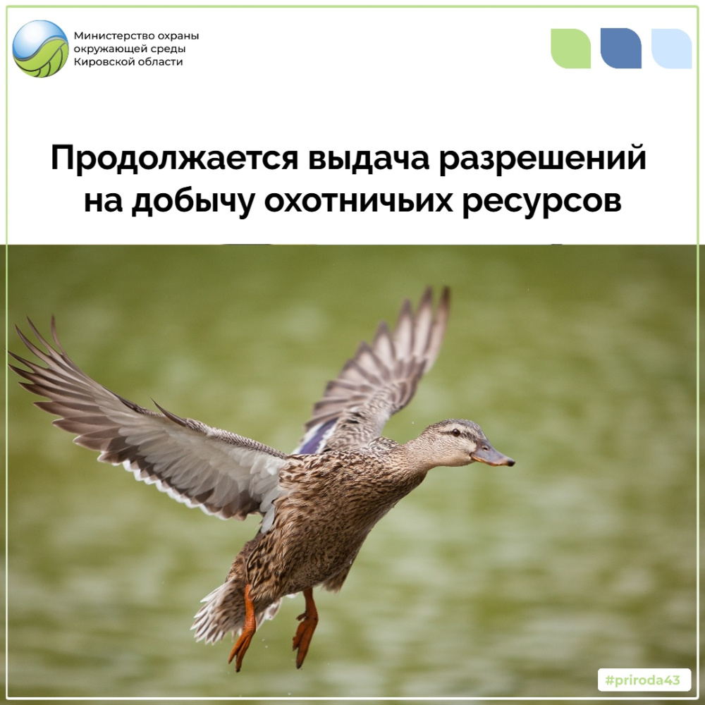 Продолжается выдача разрешений на добычу охотничьих ресурсов