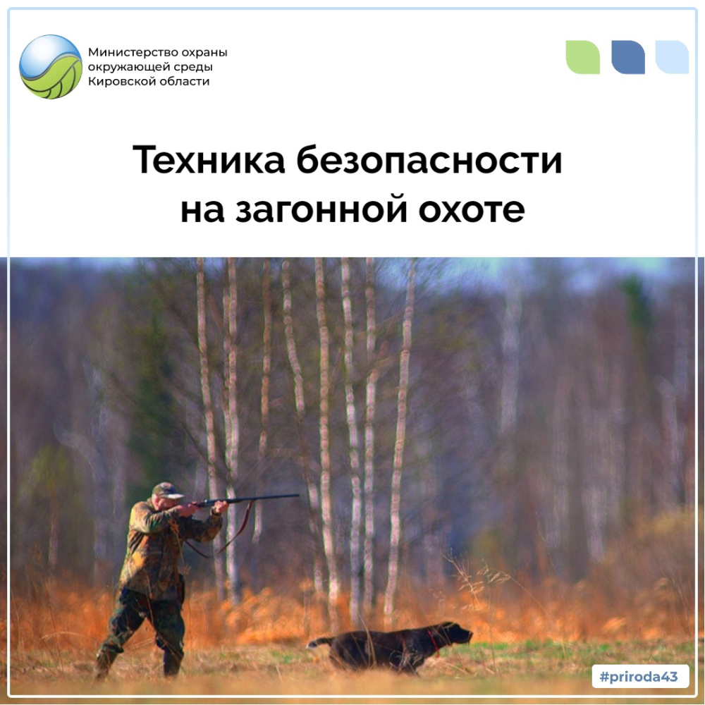 Техника безопасности при загонной охоте