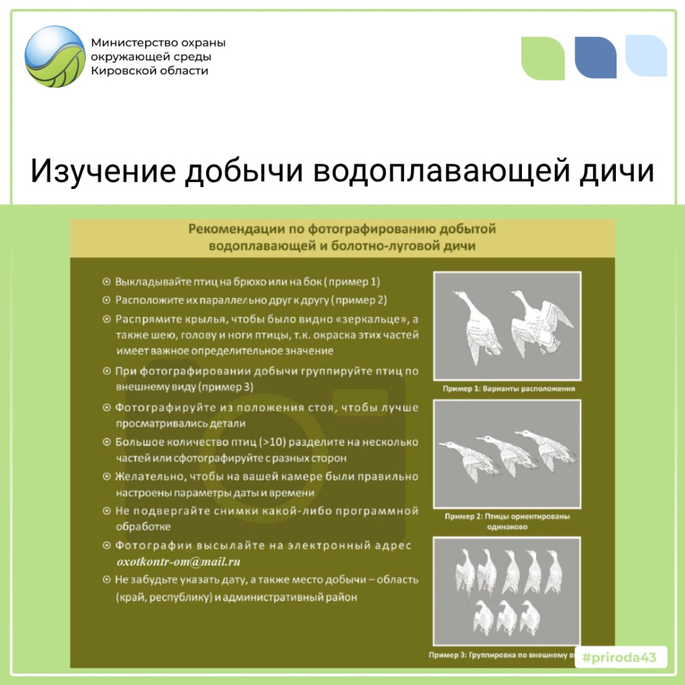 Изучение добычи пернатой дичи 