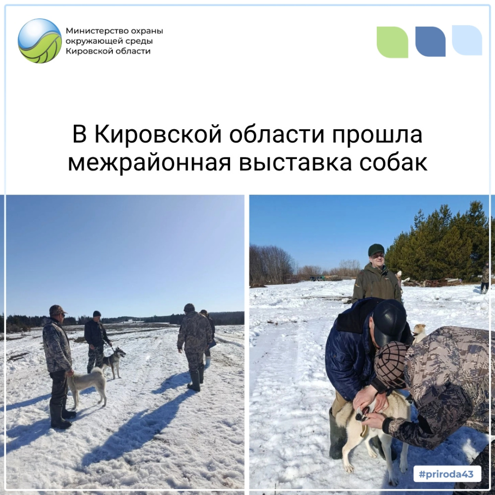 В Кировской области прошла международная 